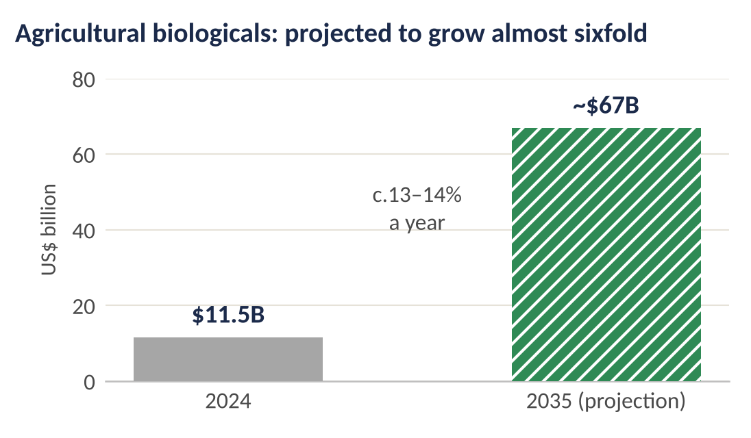 Bar chart: agricultural biologicals market of $11.5 billion in 2024, projected at about $67 billion by 2035, growing about 13–14% a year