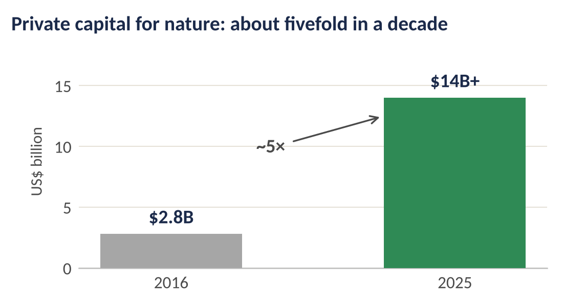 Bar chart: private capital allocations to nature-based projects rose from $2.8 billion in 2016 to more than $14 billion in 2025, about fivefold